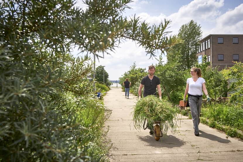 Aan het werk in de voedseltuin