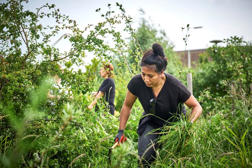 Aan het werk in de voedseltuin