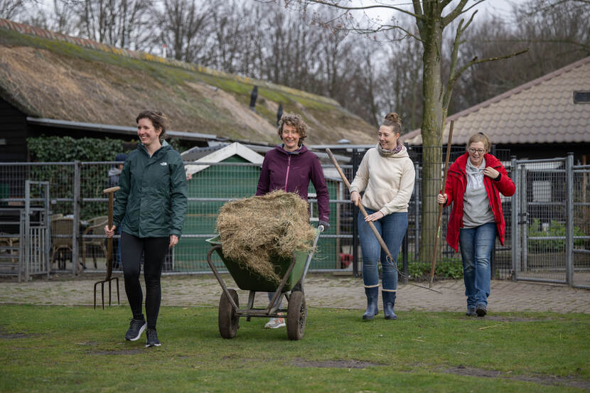 Team VWS aan het werk op NLDoet